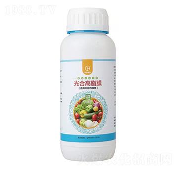 ��ϸ���Ĥ-��(r��n)�r(n��ng)�r(n��ng)��