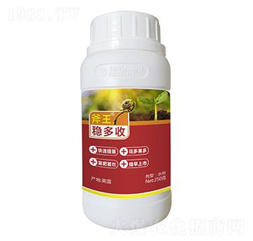 250g��(w��n)����-����-��巉�(m��ng)