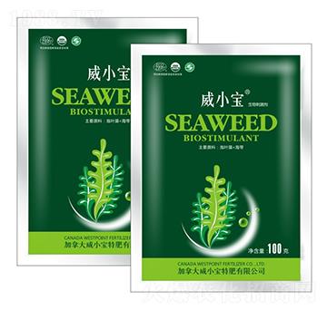 ����̼���-��С��-��巉�(m��ng)