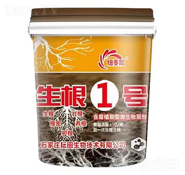 ����ֲ����΢�������-����1̖-�~����-��������