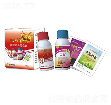 �����ײ�-�����r�I(y��)