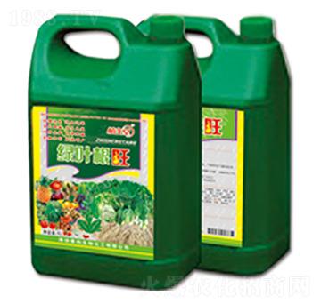 �G�~���� �R������