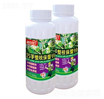 ������֧����� ֲ���� �R������