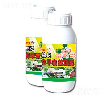 �޻�����˥�w픷� ֲ���� �R������