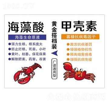 ������+�ך��� ��(r��n)��