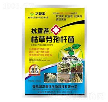 抗重茬枯草芽孢桿菌 巧管家 潤(rùn)澤