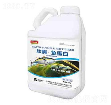 肽酶·魚(yú)蛋白 潤(rùn)澤