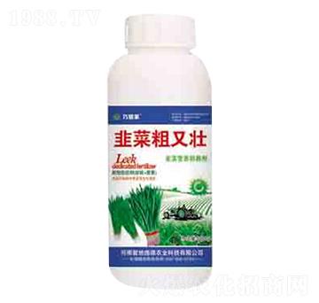 韭菜粗又壯 潤(rùn)澤