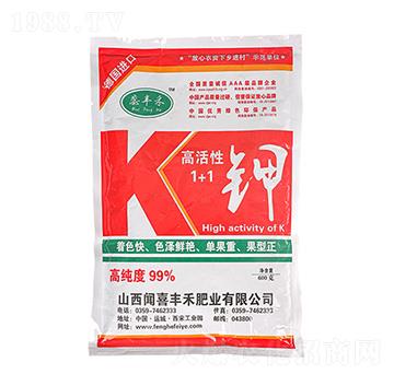 �߻���1+1� ���S��