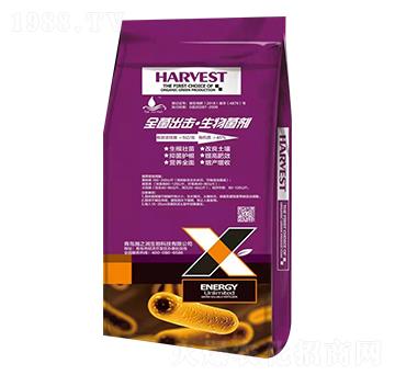 ȫ��������������� �֮������