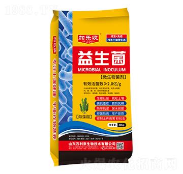 ΢������� ������ �Ә��� ������