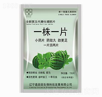 西瓜專用型 一株一片 鑫田田