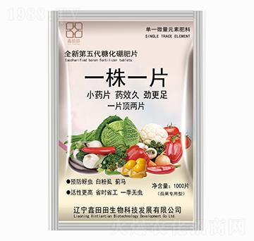 茄果專用型 一株一片 鑫田田