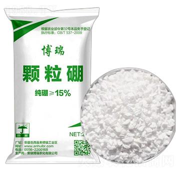 �w����ʩ��� �����r(n��ng)��