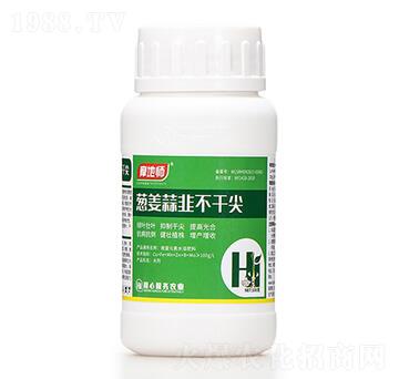 �[����²��ɼ� Ħ�؎�