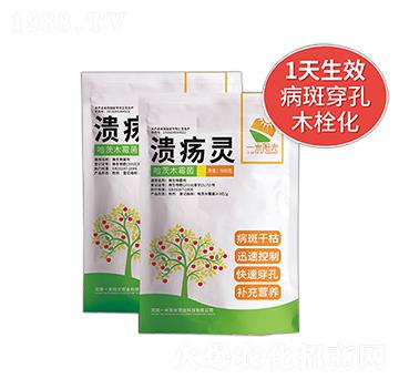 ����������-�����`-һ���(y��ng)��