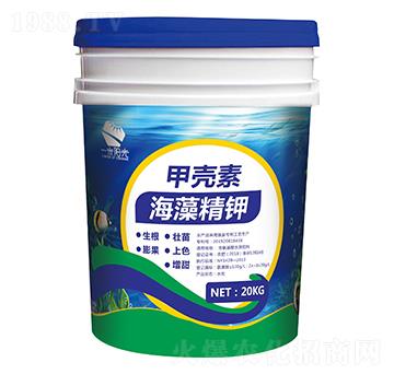 �ך��غ��徫�-һ���(y��ng)��