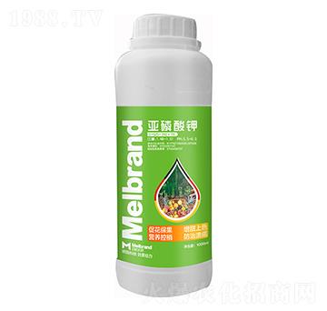 1000mlֲ�����߄� ������� ������