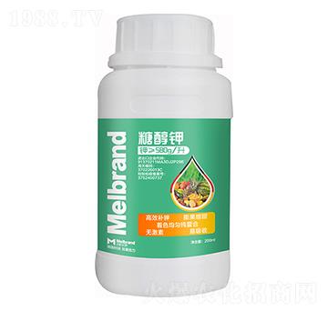 200ml�Ǵ�� ������