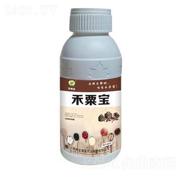 ��ˎ�Č��÷� ���ڌ� ��Mӯ�r�I(y��)