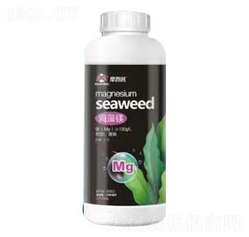 海藻鎂 摩恩洛