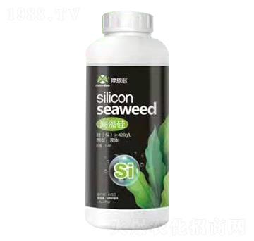 ����� Ħ����