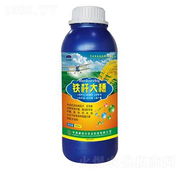 �F�U����-�����S-���Π�