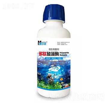 ���Ĺ���ø΢�������-�����S-���Π�