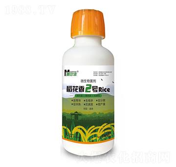 ΢�������-������2̖-���Π�