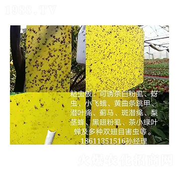 ճ�x(ch��ng)�� ���r(n��ng)����