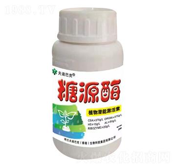 ��Դø ��ϰͿ�