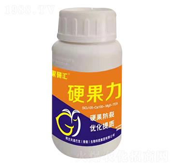 Ӳ���� ��ϰͿ�