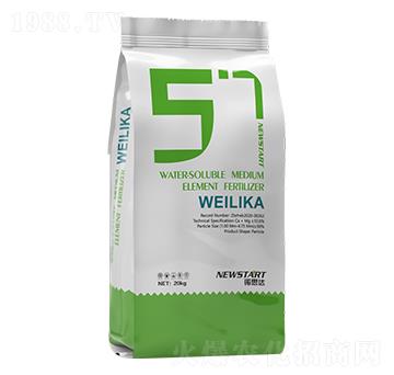 ΢���� �Z˼�_(d��)