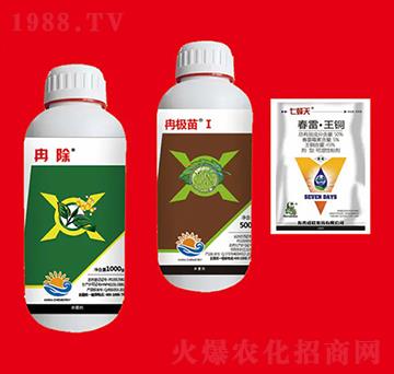 �����M�Ϣ� ��Ƚ���W