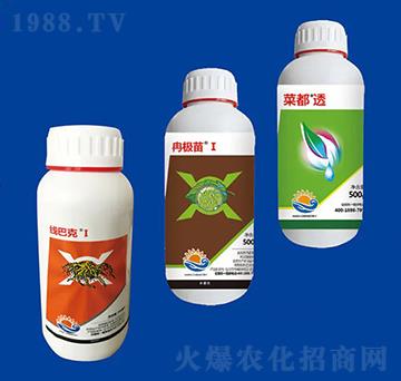 ���x(ch��ng)�M�Ϣ� ��Ƚ���W(xu��)