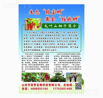 ë�~ɽͩ�� ���������