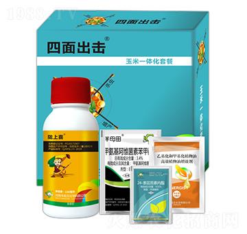 ����һ�w���ײ�-�����