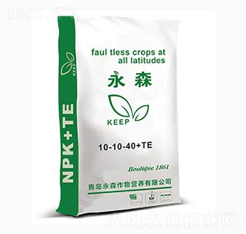 ��⛷���10-10-40+TE��ɭ