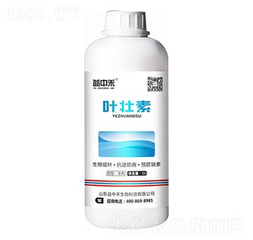 �~���� ���к�