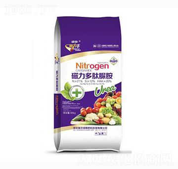 ���������尷-ʩ���S-ʢ�I(y��)