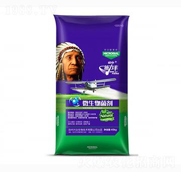 ΢�������-ʩ���S-ʢ�I(y��)