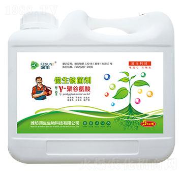 Y-�۹Ȱ���-��������