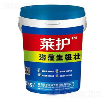 ����������-�R�o-����