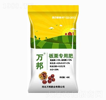 �������÷�-�f(w��n)��