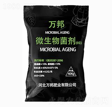 ΢�������������-�f��