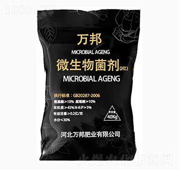 �f��΢����������Ƀ|����-�f��