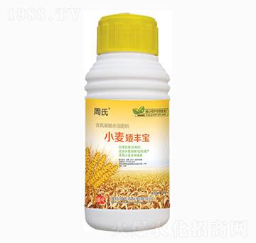 小麥矮豐寶-周氏農(nóng)化