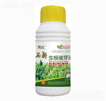石斛生根催芽液-周氏農(nóng)化