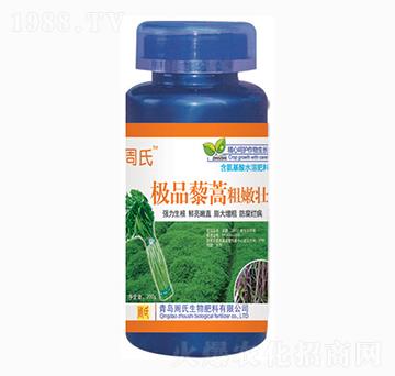 藜蒿粗嫩壯-周氏農(nóng)化