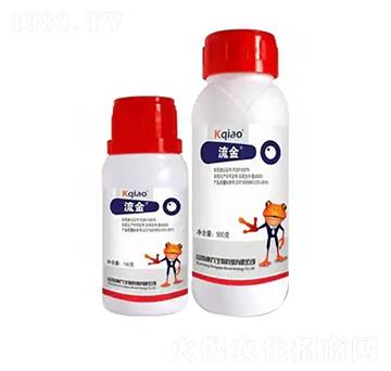 240��ÿ�������� ���� ��������